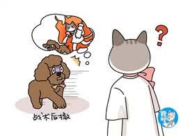 狗狗到处乱嗅是天性吗?为了避免意外发生，学会拒食很有必要