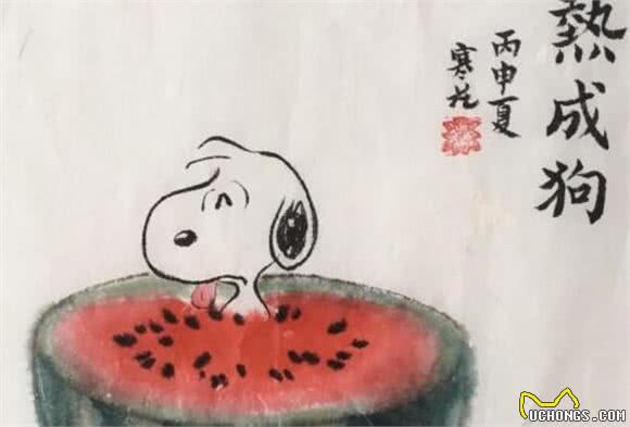 狗狗夏季中暑情况多，为避免爱犬遭遇意外，铲屎官应了解相关情况