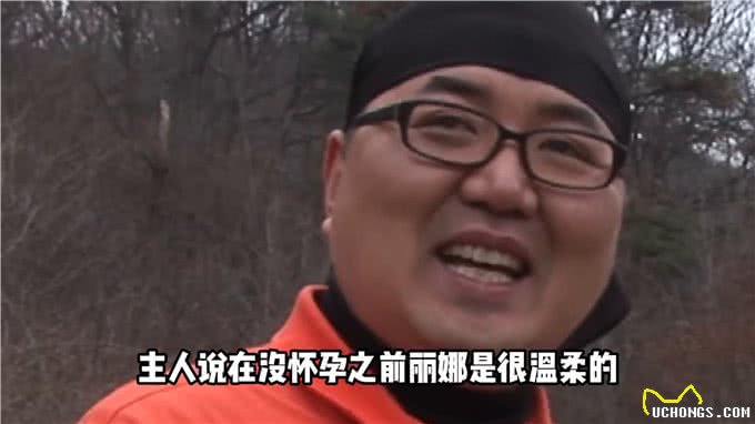 狗狗趁妻子怀孕沾花惹草得挨揍—萌宠