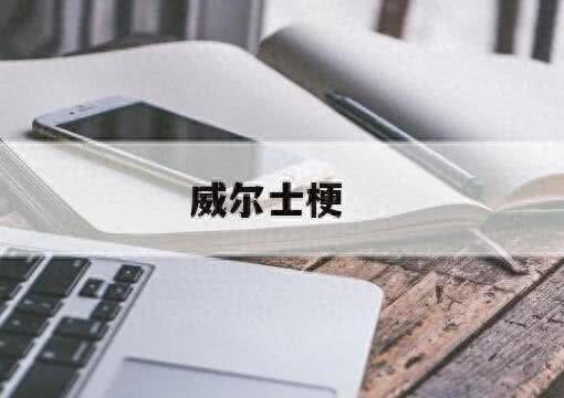 威尔士梗(威尔士梗优缺点)