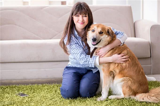 想拥有一只温顺乖巧的爱犬吗?牢记与它朝夕相处的9条规则