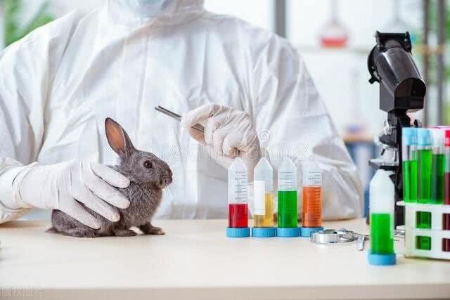 中科院科学家首次破译狗摇尾巴的含义，网友却吐槽:和我有关系吗