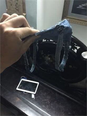 主人亲手做小狗背带，让大泰迪背着小泰迪