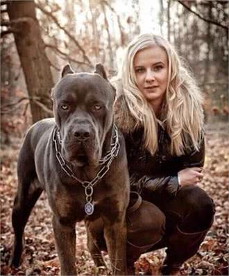 护卫之王—卡斯罗犬，为何如此火爆?