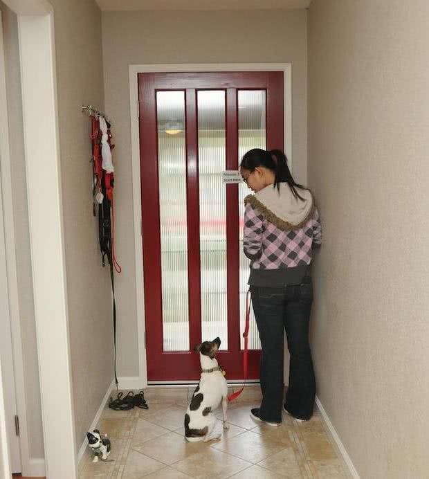 如何建立主人和狗狗之间的信任关系?至少要做到这3点