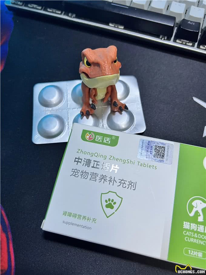 狗狗肾衰竭不是没救了，方法都在这里了