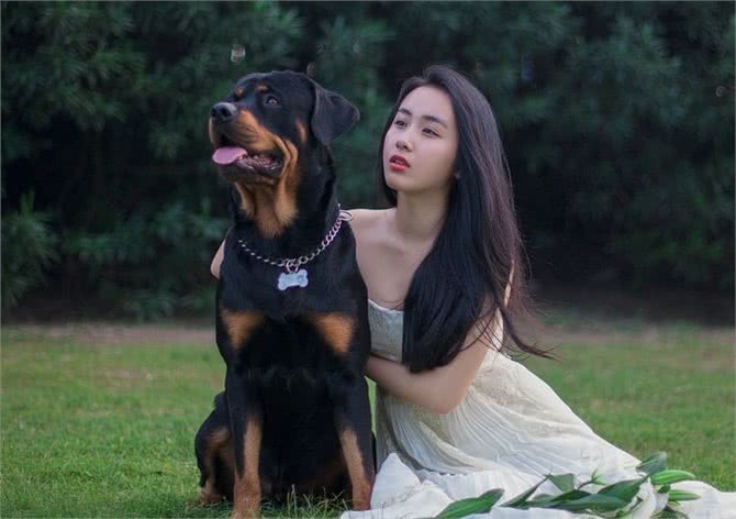 这些狗陪伴不了主人多久,最长寿的只有12年命