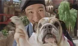 你知道萌宠们品种名字的历史来源吗，这只猎犬竟然和君王同名