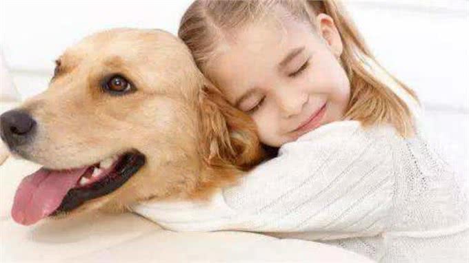 幼犬该如何喂养?这八大技巧要谨记