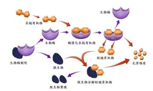 4种常见的宠物除臭剂成分及原理对比，看完知道怎么选了吗?