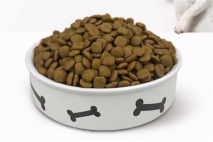 狗狗的喂食禁忌|来看看你有没有踩雷
