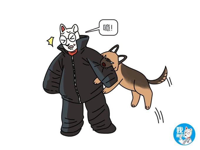 辟谣:警犬必要条件是聪明?金毛和边牧流下了委屈的泪水