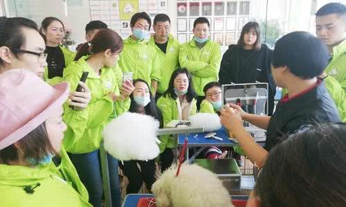 宠物美容是怎么学习的?