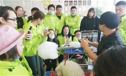 宠物美容是怎么学习的?