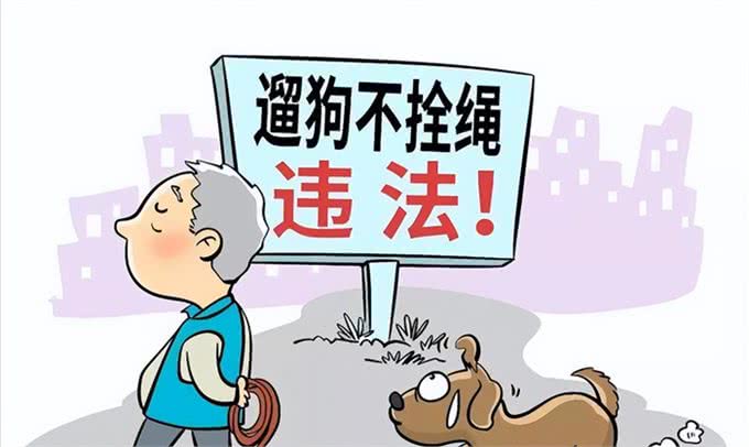 人狗相处禁忌，有些事可真不能做