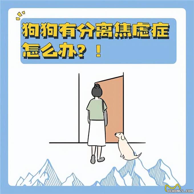 您知道爱宠也是有分离焦虑症嘛?如何判断，怎么治疗?