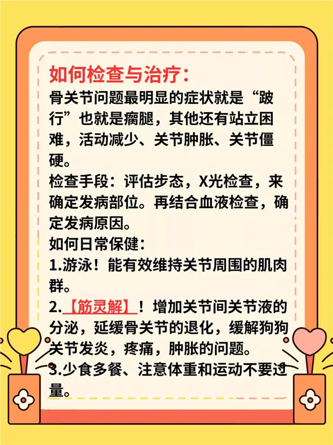 狗狗关节炎
