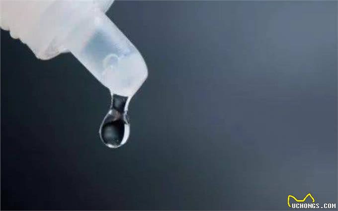 关注:泰迪眼睛睁不开老是眯着泰迪狗眼睁不开老眯着怎么回事