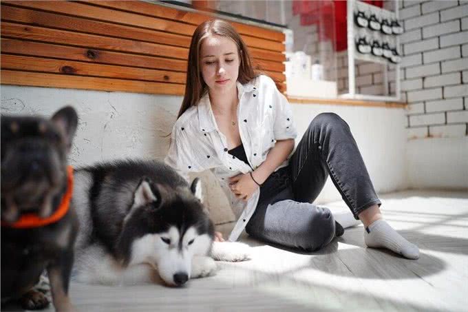 狗粮成分大解析，哪些成分对狗狗有益?
