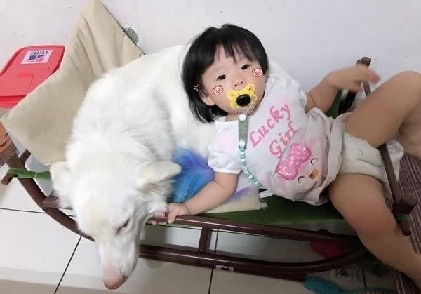 粉红鼻子大耳朵，主人说是狗狗，大家都觉得像猪