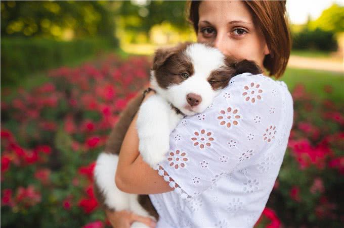 如何将爱犬培养成温柔的性格?主人必学的五大要点!