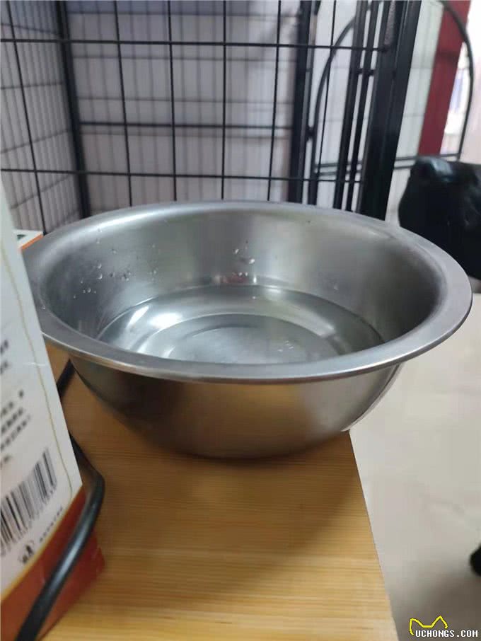 养狗初期的必备用品