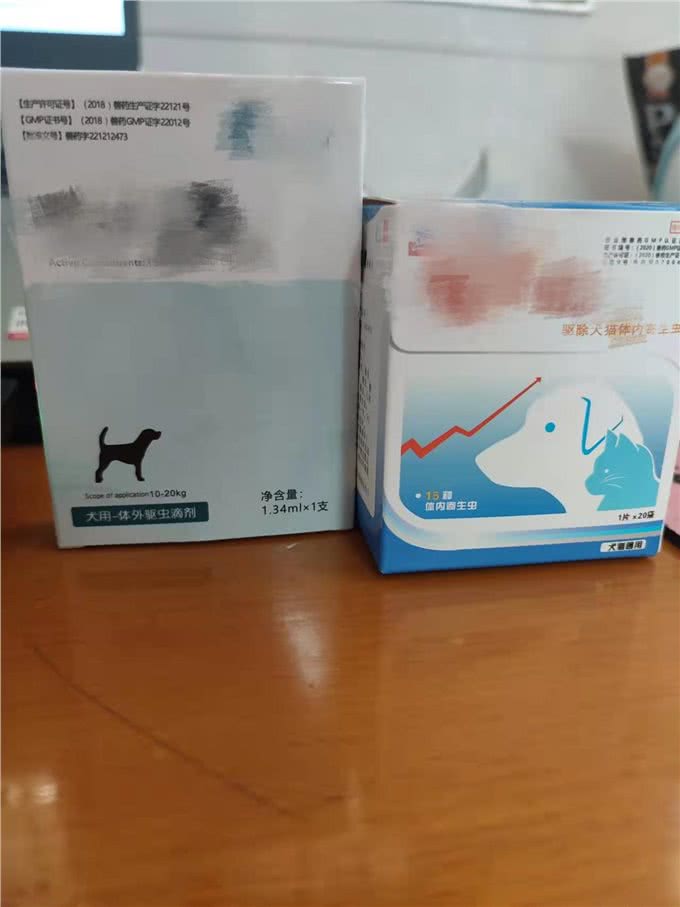 养狗初期的必备用品