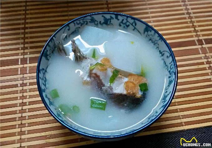 养狗须知知识:狗狗缺微量元素的危害，有哪些，补充的方法是什么