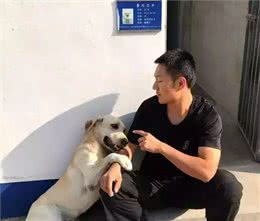 田园犬兄弟被警队收养，辛苦工作两年，终于转正获得警犬编制!