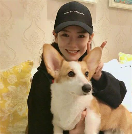 饲养柯基犬,这5件事,千万不能做