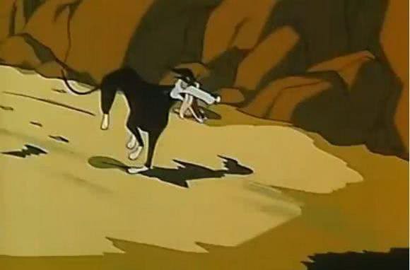 中华田园犬之中国细犬—世界上速度最快的狗!