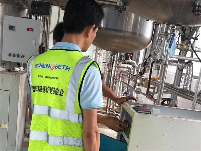 食品加工蒸汽发生器:研发新利器，助狗粮创新再升级!