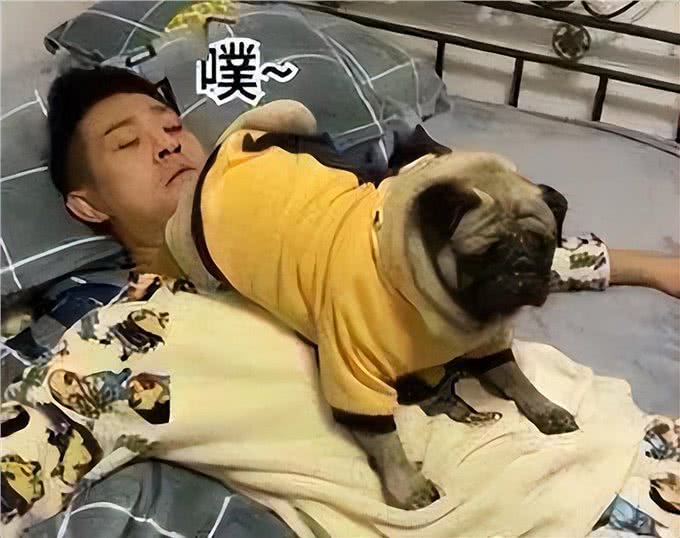 总结狗界最臭的6种狗，敢养的人是真猛