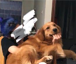 总结狗界最臭的6种狗，敢养的人是真猛