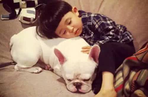 你家有小小孩吗?这十种狗狗最适合有孩子的你