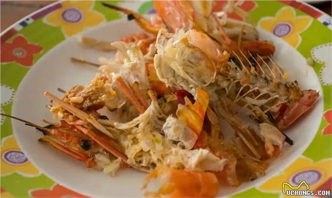 猫狗不能吃人类的食物，这是谣言?还是真的?