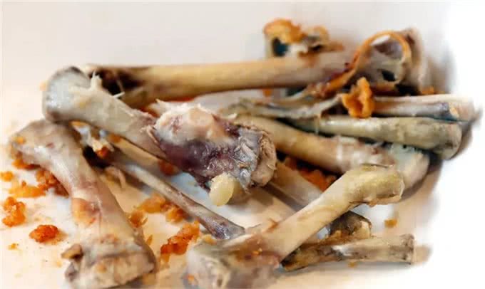 猫狗不能吃人类的食物，这是谣言?还是真的?