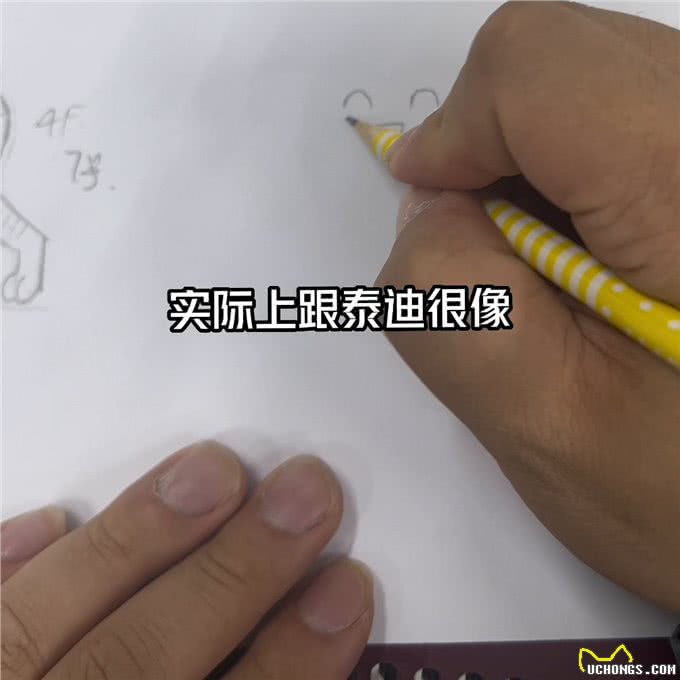 今天分享博美的美容!