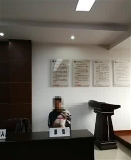 这只抱错的博美居然长得如此健壮!