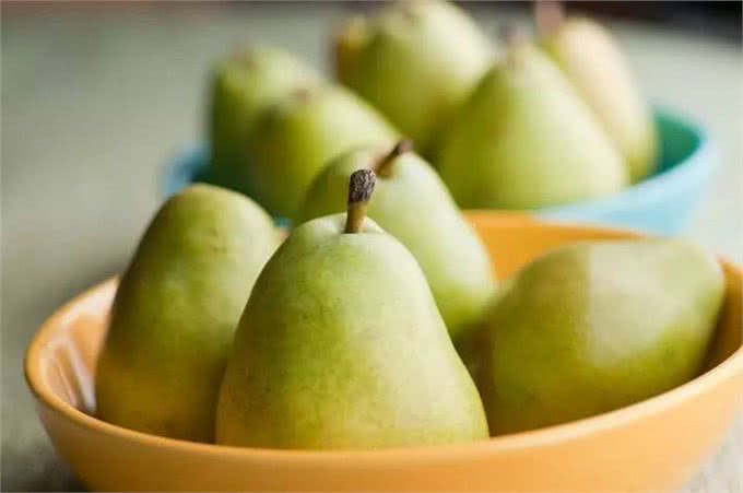 9种水果你可以放心给狗狗食用