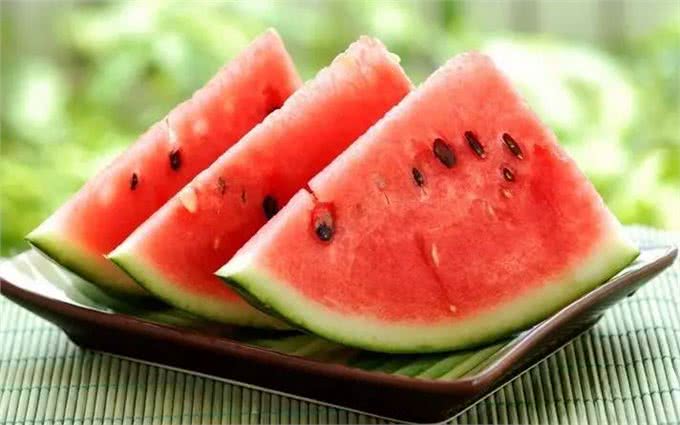 9种水果你可以放心给狗狗食用