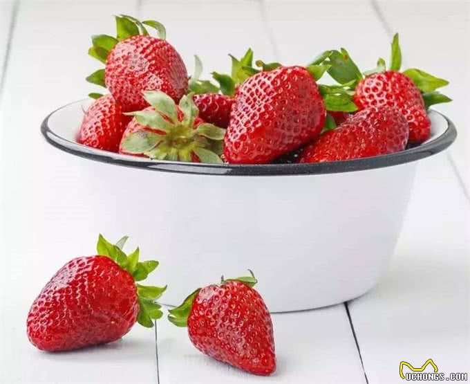 9种水果你可以放心给狗狗食用