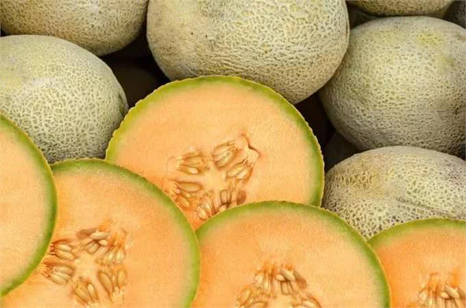 9种水果你可以放心给狗狗食用