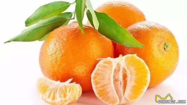 9种水果你可以放心给狗狗食用