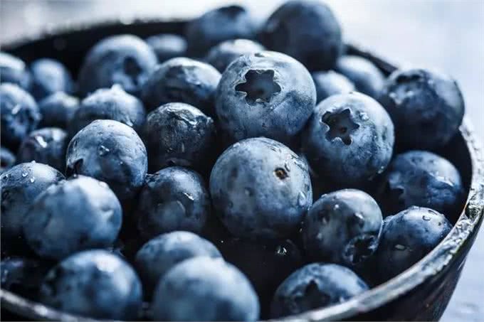 9种水果你可以放心给狗狗食用