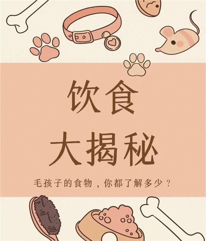 狗狗的饮食禁忌，你知道吗?
