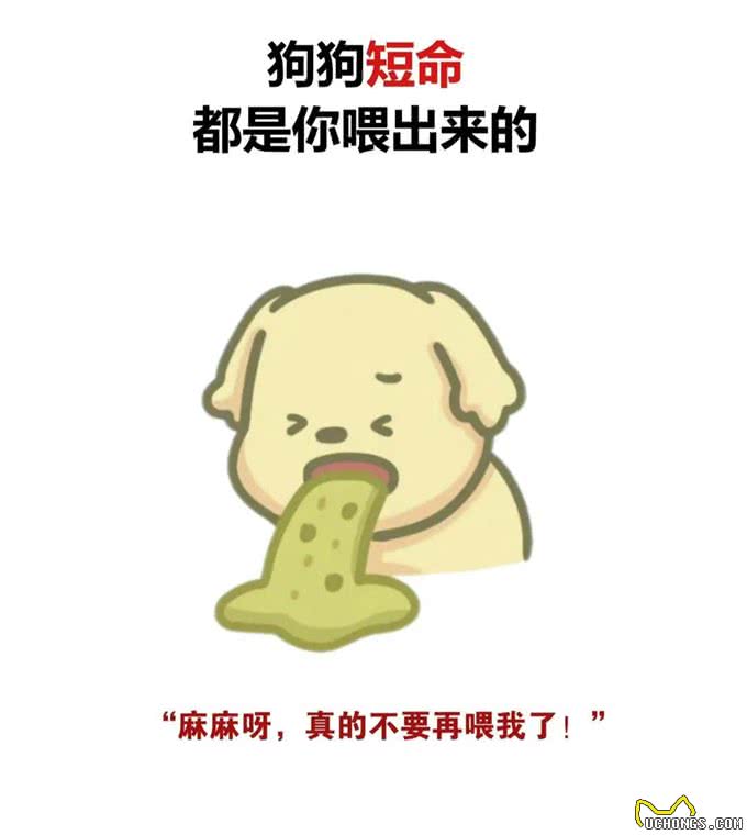 狗狗的饮食禁忌，你知道吗?