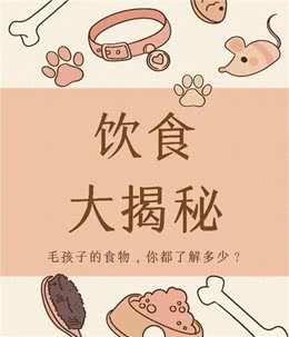 狗狗的饮食禁忌，你知道吗?