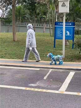 狗狗四处嗅闻没礼貌?阻止狗狗嗅闻不仅使它自闭，还易患老年痴呆