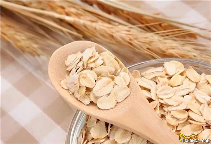 这些食物对狗狗来说是人间美味